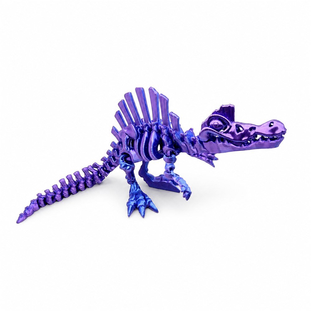 Collezione AIRA Skeleton