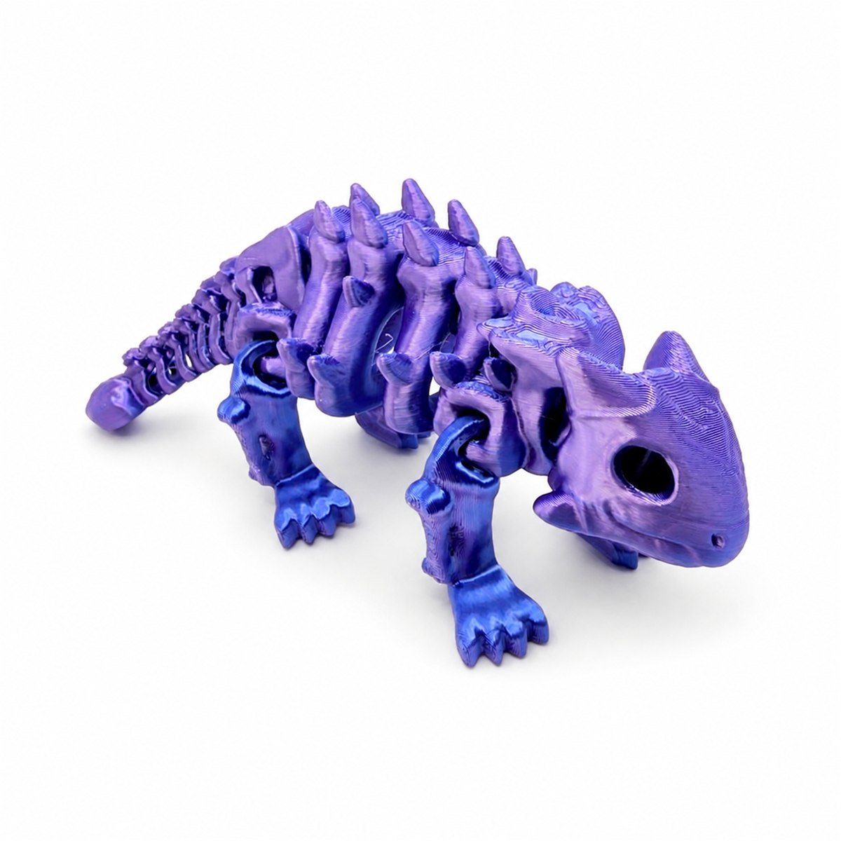 AIRA Skeleton Anchilosauro