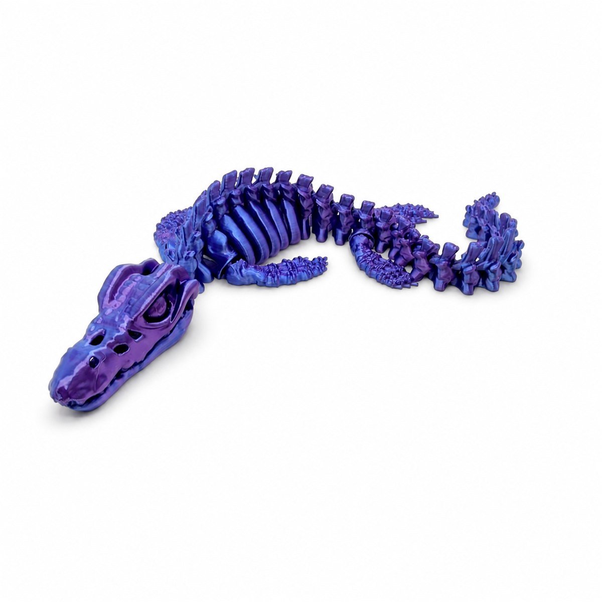 AIRA Skeleton Mosasauro