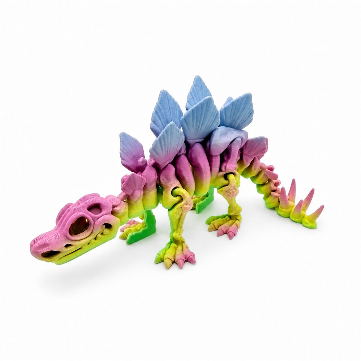 AIRA Skeleton Stegosauro