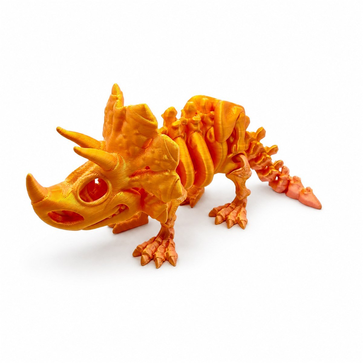 AIRA Skeleton Triceratopo
